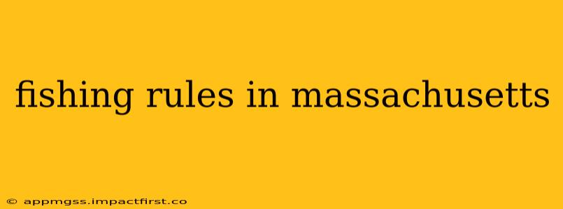 fishing rules in massachusetts