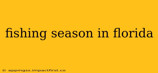 fishing season in florida