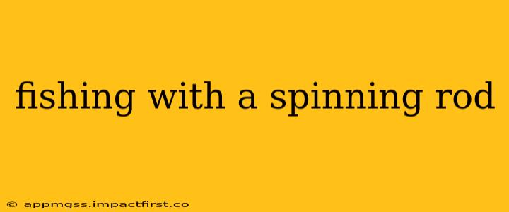 fishing with a spinning rod