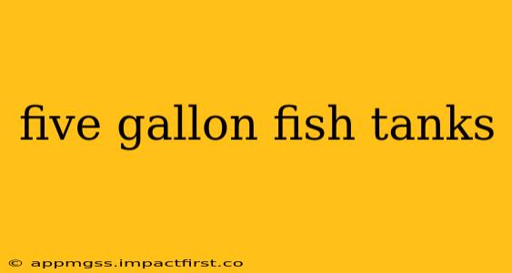 five gallon fish tanks