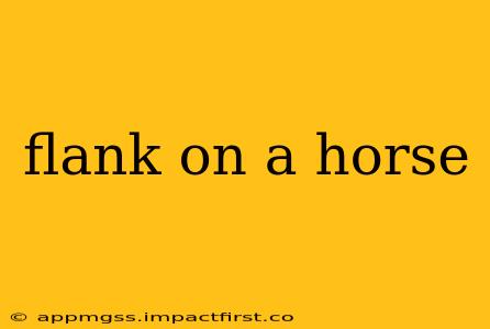 flank on a horse