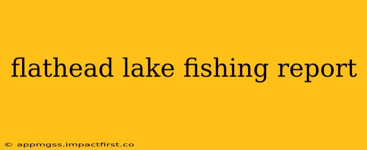 flathead lake fishing report