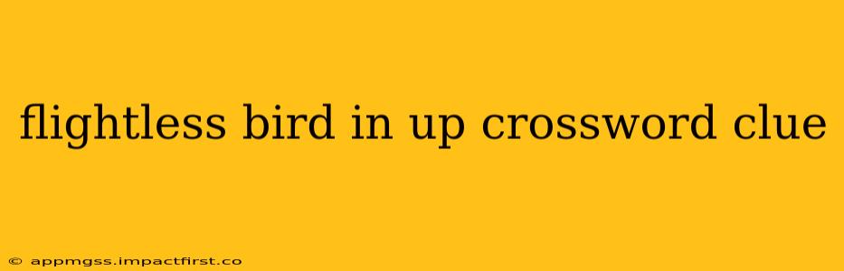 flightless bird in up crossword clue
