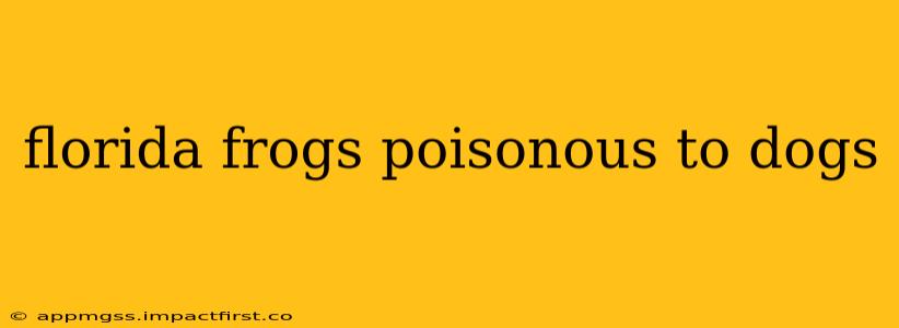florida frogs poisonous to dogs