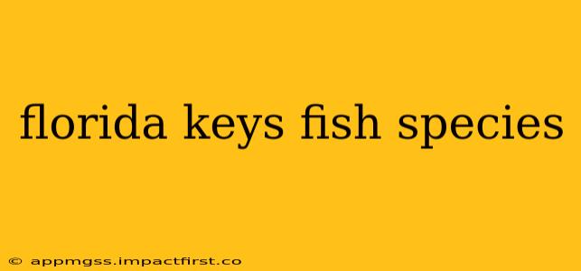 florida keys fish species