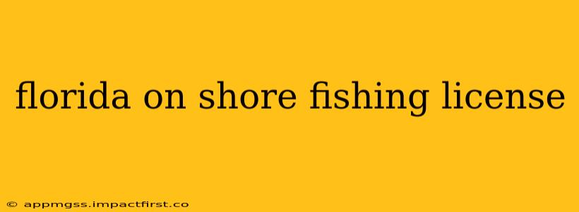 florida on shore fishing license