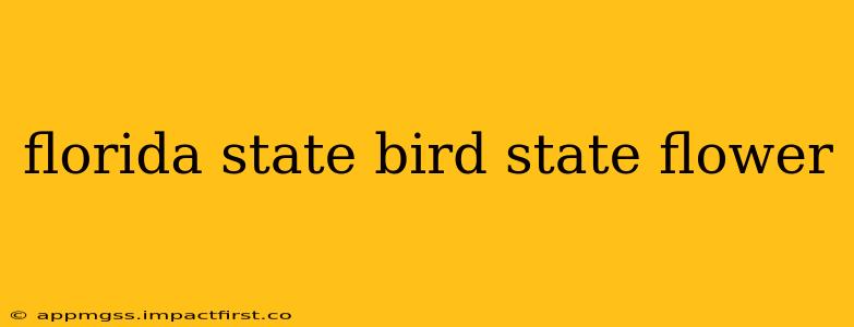 florida state bird state flower