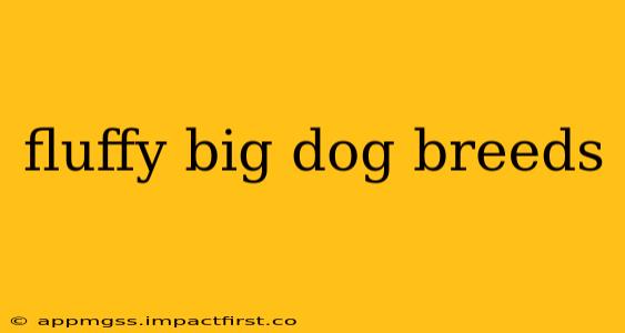 fluffy big dog breeds