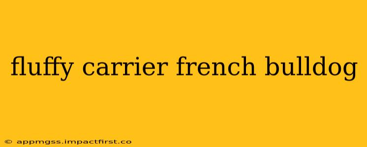 fluffy carrier french bulldog