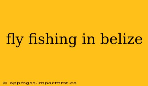 fly fishing in belize