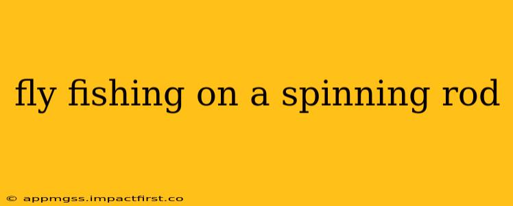 fly fishing on a spinning rod