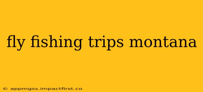 fly fishing trips montana