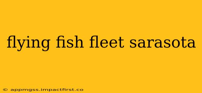 flying fish fleet sarasota