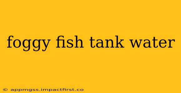 foggy fish tank water