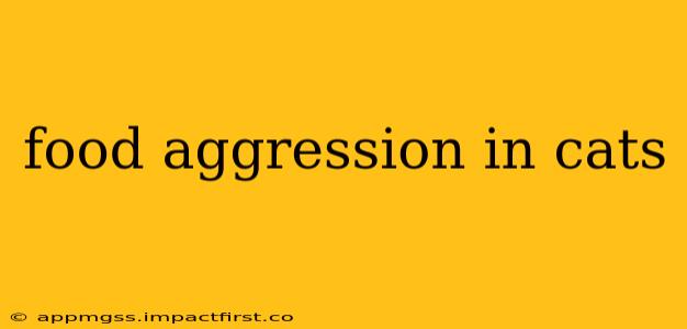 food aggression in cats