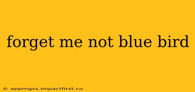 forget me not blue bird