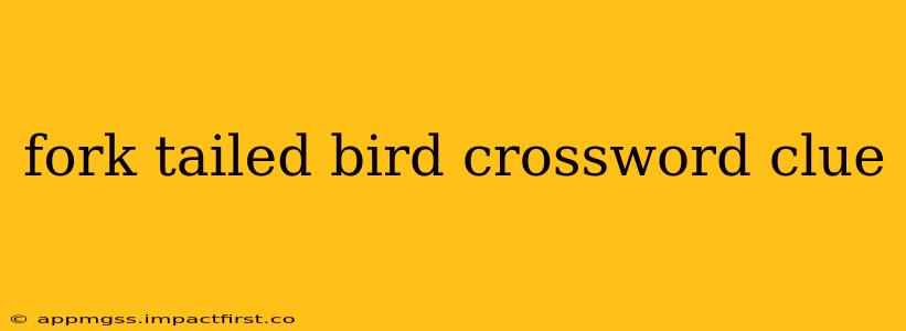 fork tailed bird crossword clue