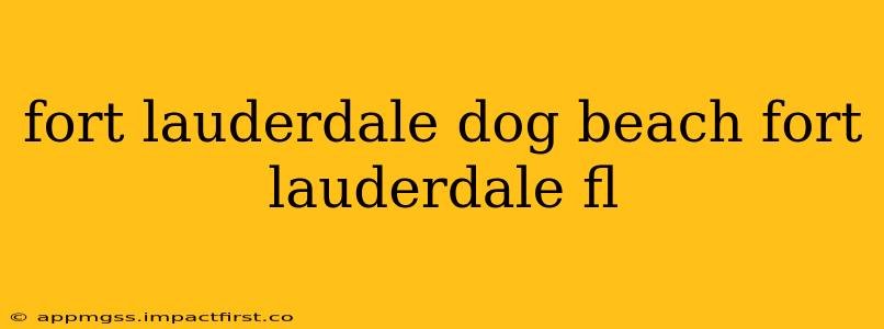 fort lauderdale dog beach fort lauderdale fl