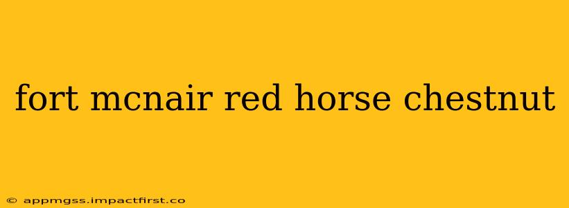 fort mcnair red horse chestnut