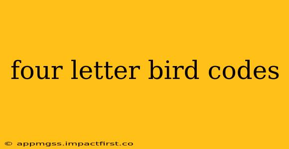 four letter bird codes