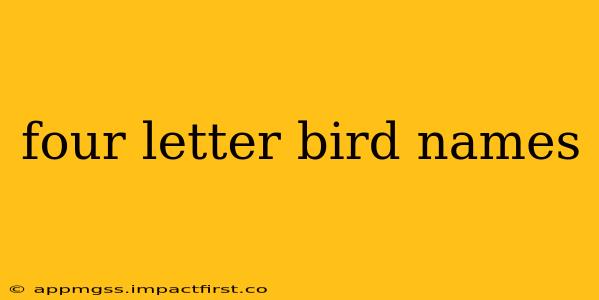 four letter bird names