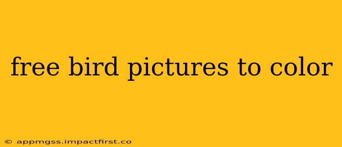 free bird pictures to color