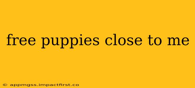 free puppies close to me