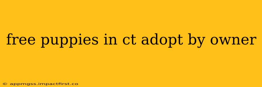 free puppies in ct adopt by owner