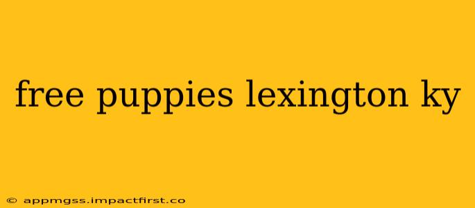 free puppies lexington ky
