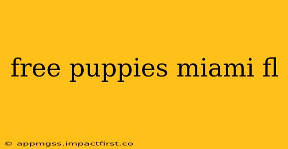 free puppies miami fl