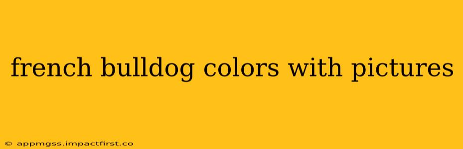french bulldog colors with pictures