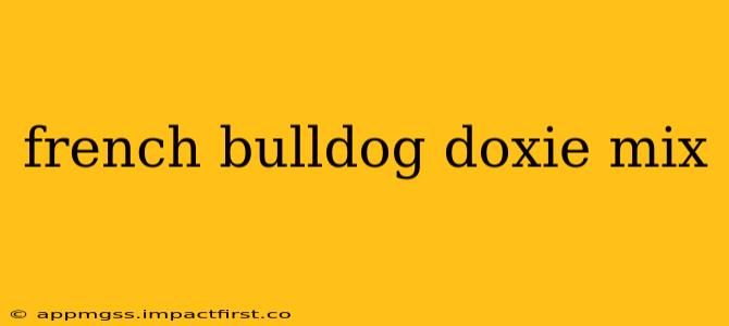 french bulldog doxie mix