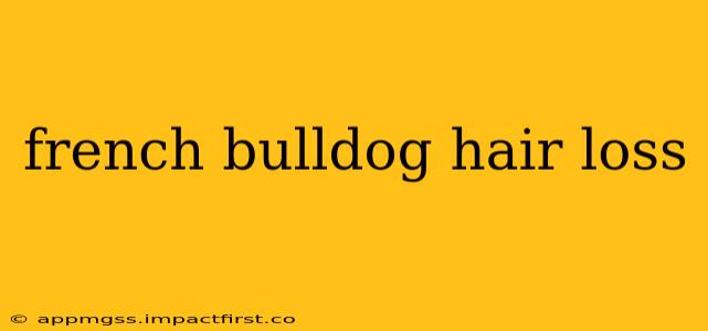 french bulldog hair loss