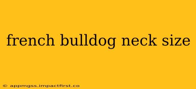 french bulldog neck size