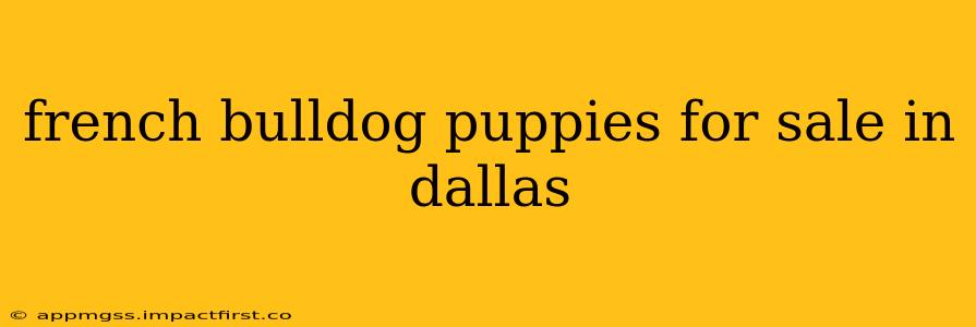 french bulldog puppies for sale in dallas