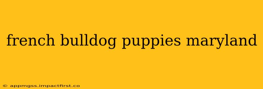 french bulldog puppies maryland