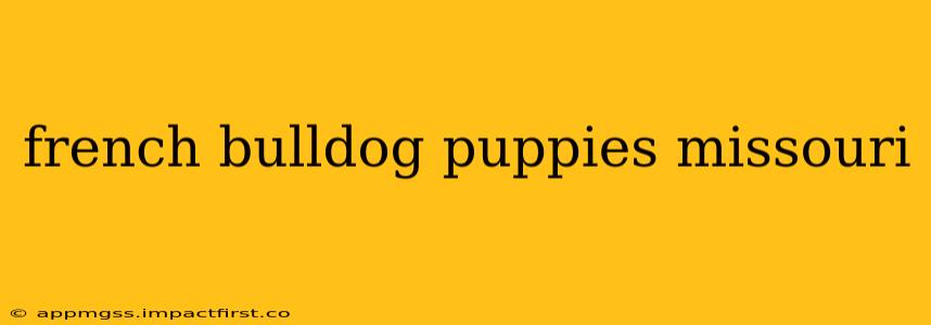 french bulldog puppies missouri
