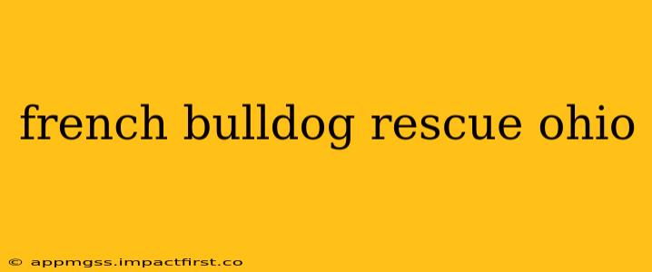 french bulldog rescue ohio