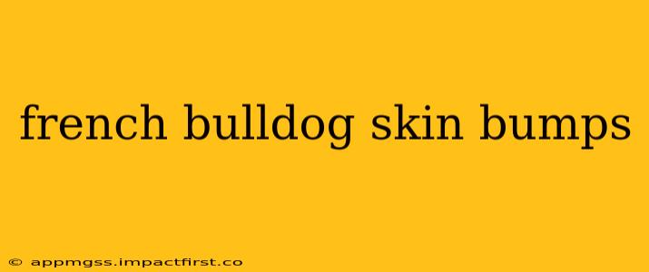 french bulldog skin bumps