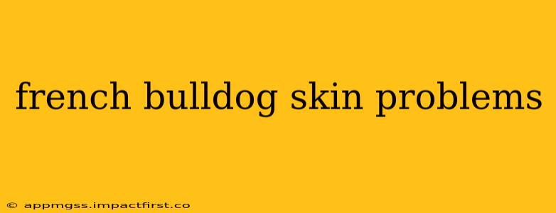 french bulldog skin problems