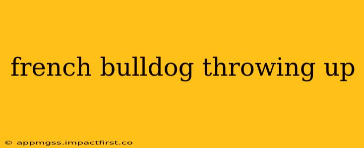 french bulldog throwing up