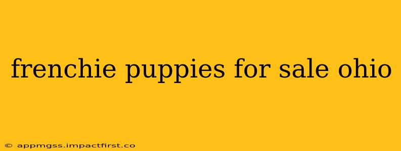 frenchie puppies for sale ohio