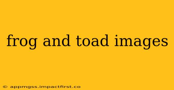frog and toad images