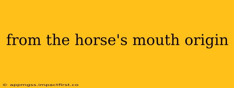 from the horse's mouth origin