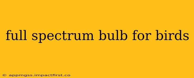 full spectrum bulb for birds