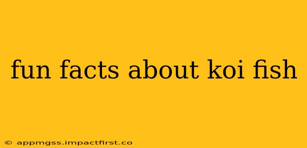fun facts about koi fish