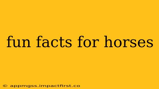 fun facts for horses