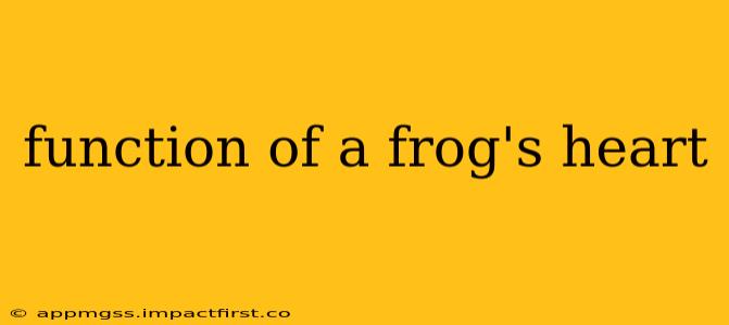 function of a frog's heart