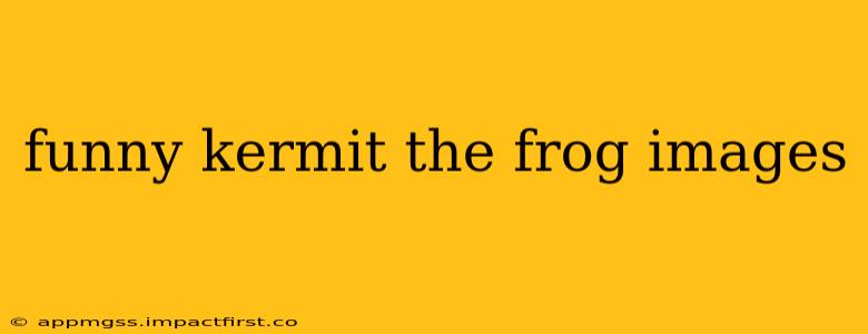 funny kermit the frog images
