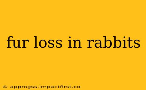 fur loss in rabbits